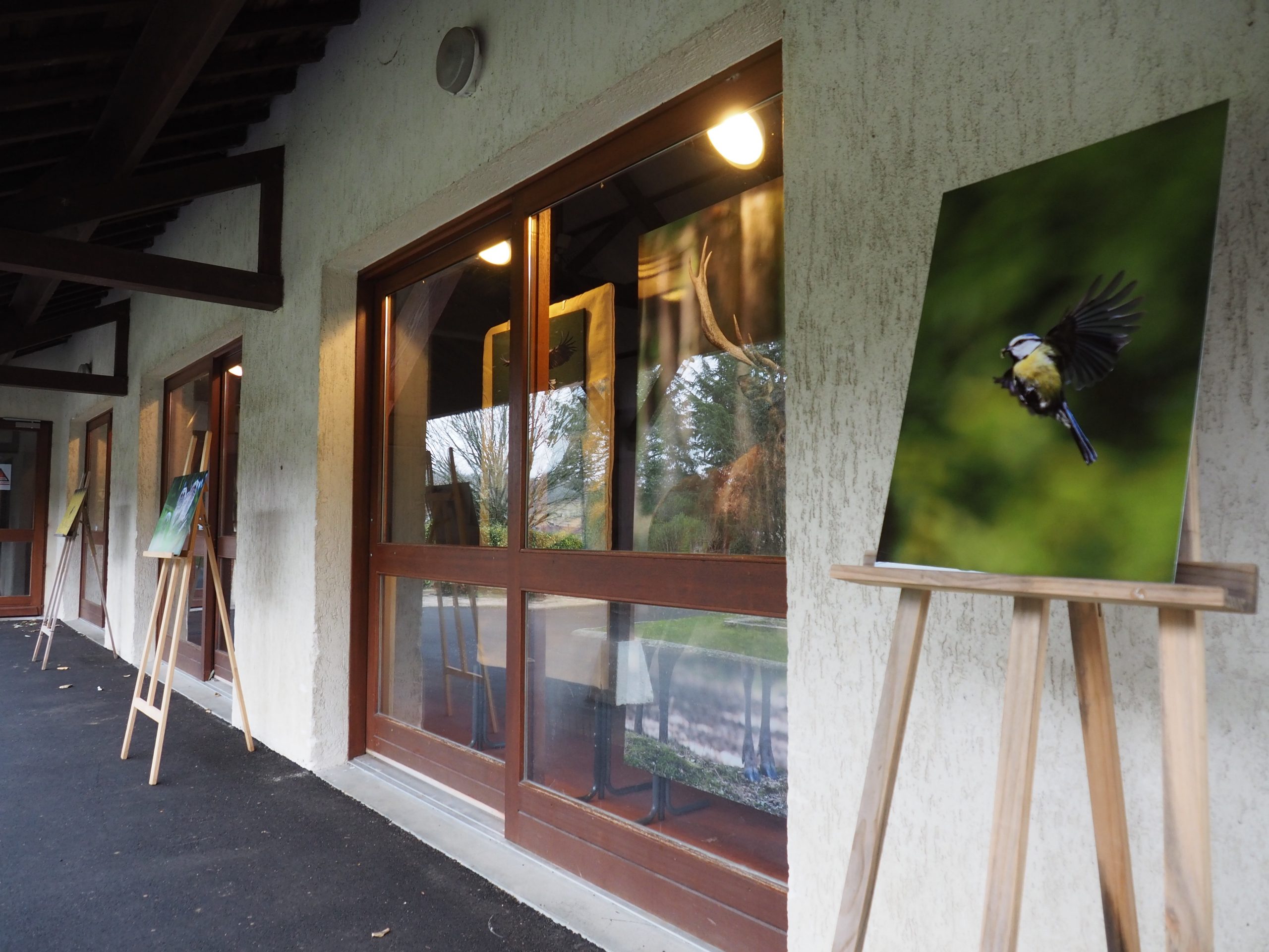 exposition salon art et matière prunay-sur-essonne